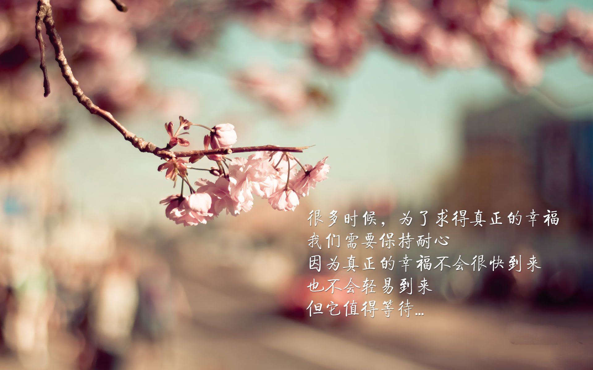 “青春无限”青少年篮球招聘会在北京举办，为青训引进人才，ybdl青少年篮球发展联盟招聘