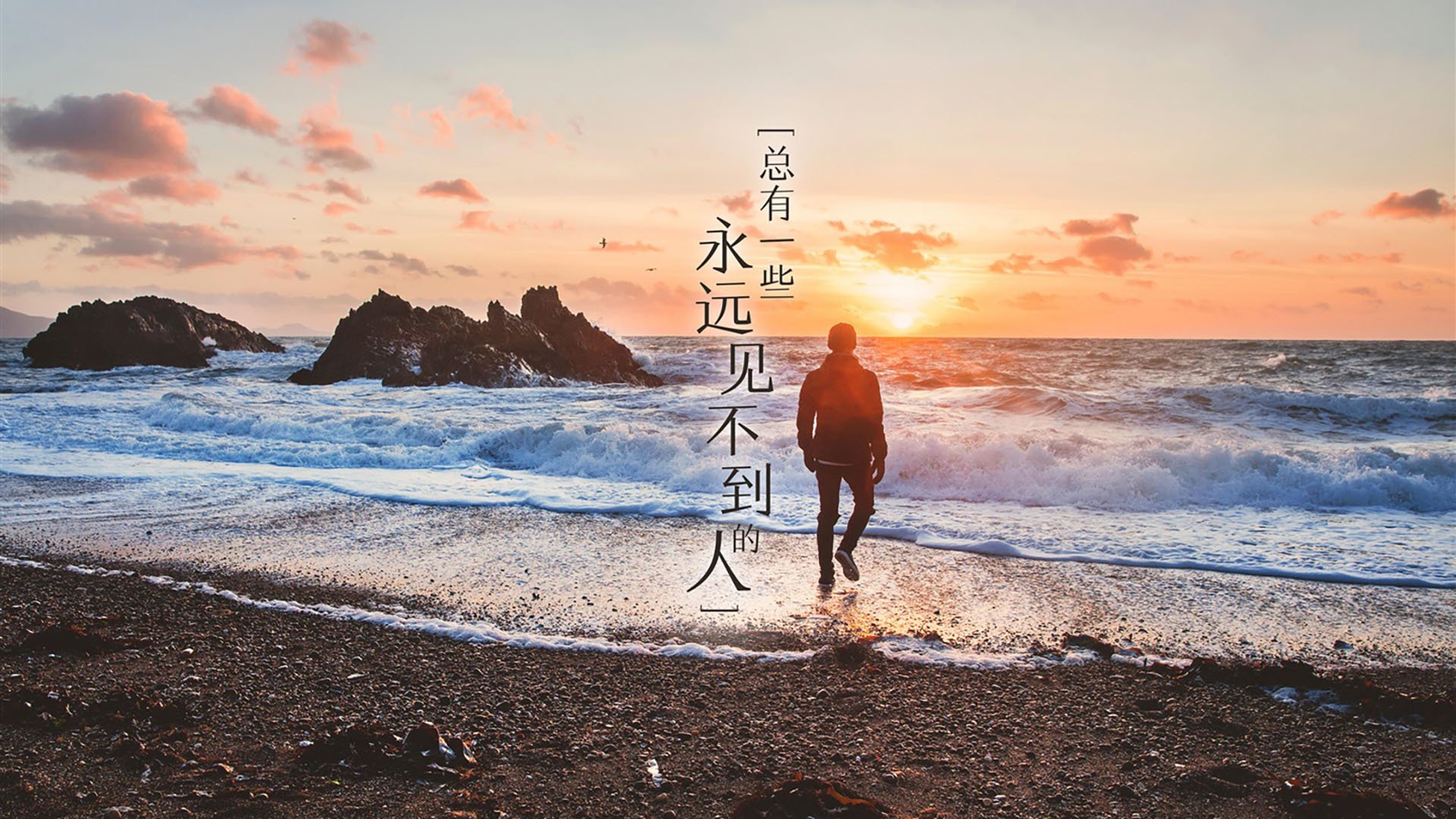 世界极限飞盘挑战，团队合作的最高舞台，极限运动飞盘比赛