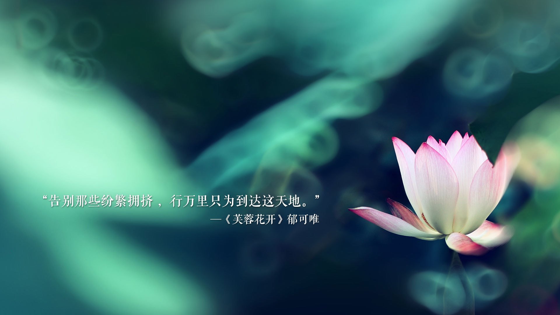 传统文化融合现代比赛，传统文化与现代文化的碰撞和融合
