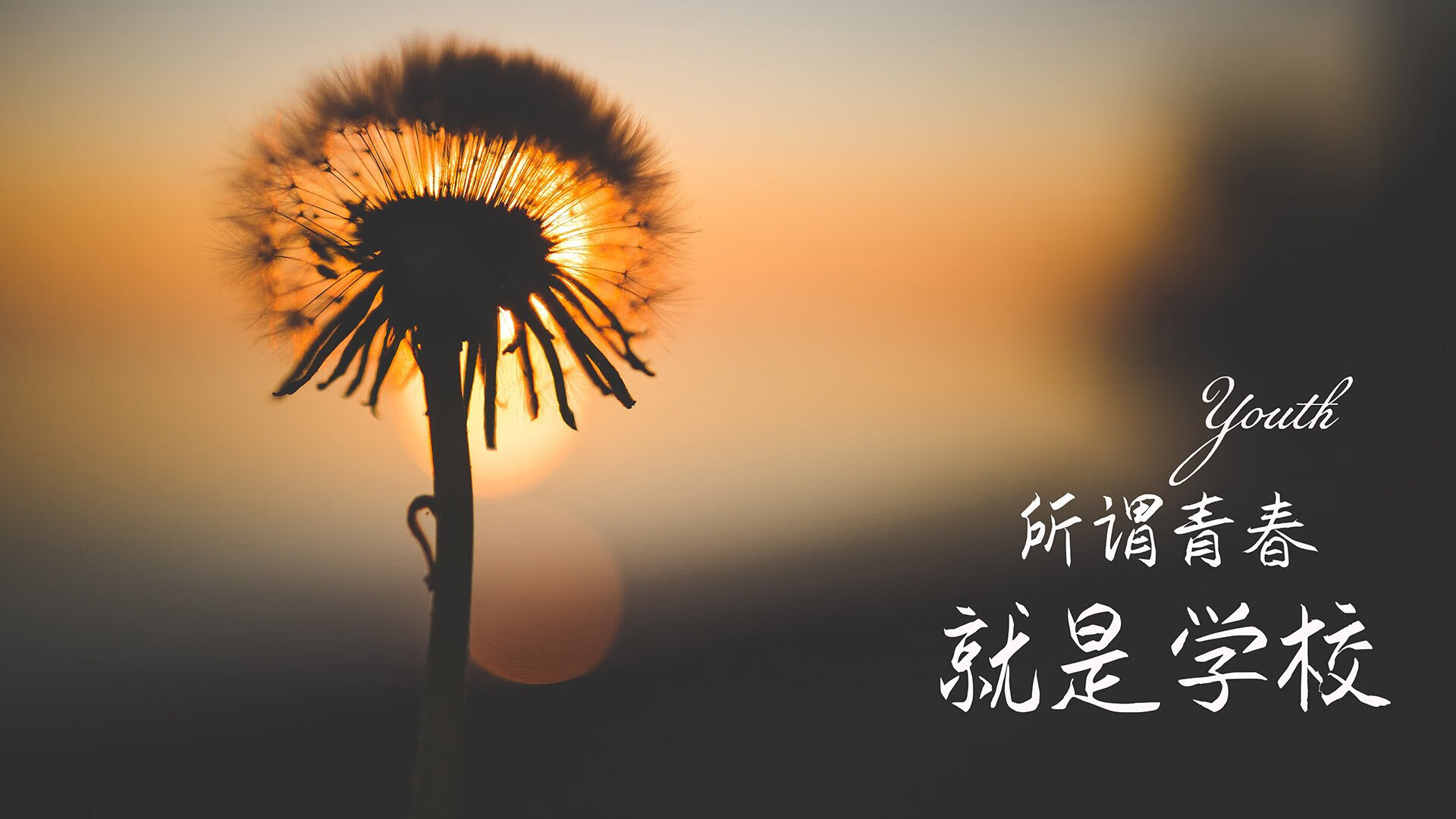 比利时反曲弓选手在2024年世界射箭锦标赛中表现出色，比利时射箭运动员