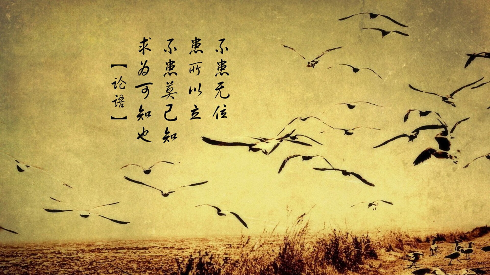 场均传球次数最多的球队战术解读，单场传球记录