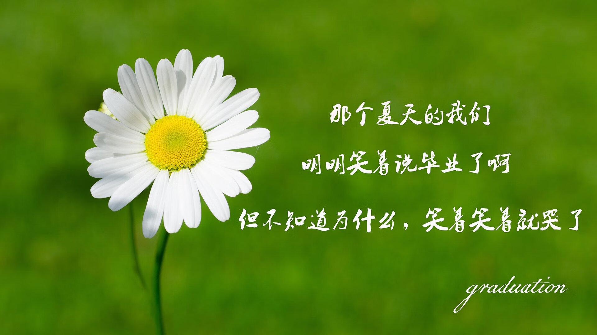 篮球赛事安全管理规范加强保障运动员和观众安全，篮球队安全管理制度